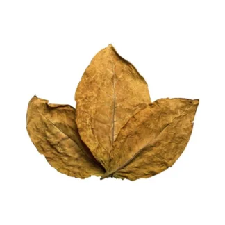 Buy Amber Leaf